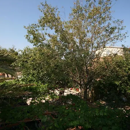 Triple Starigrad 6637a 3* Starigrad Paklenica